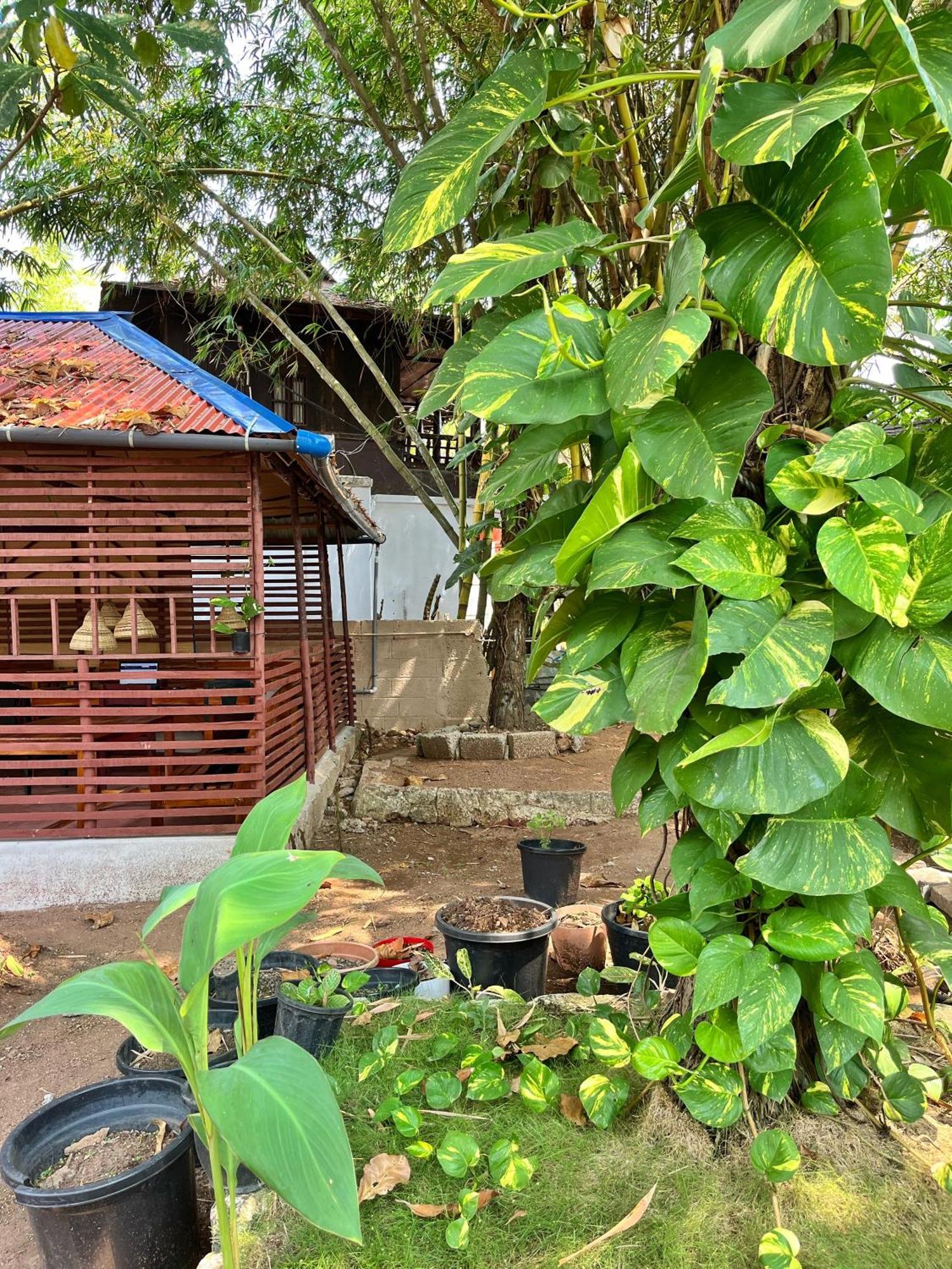 Bava Beach Resort & Retreat Center Varkala Εξωτερικό φωτογραφία