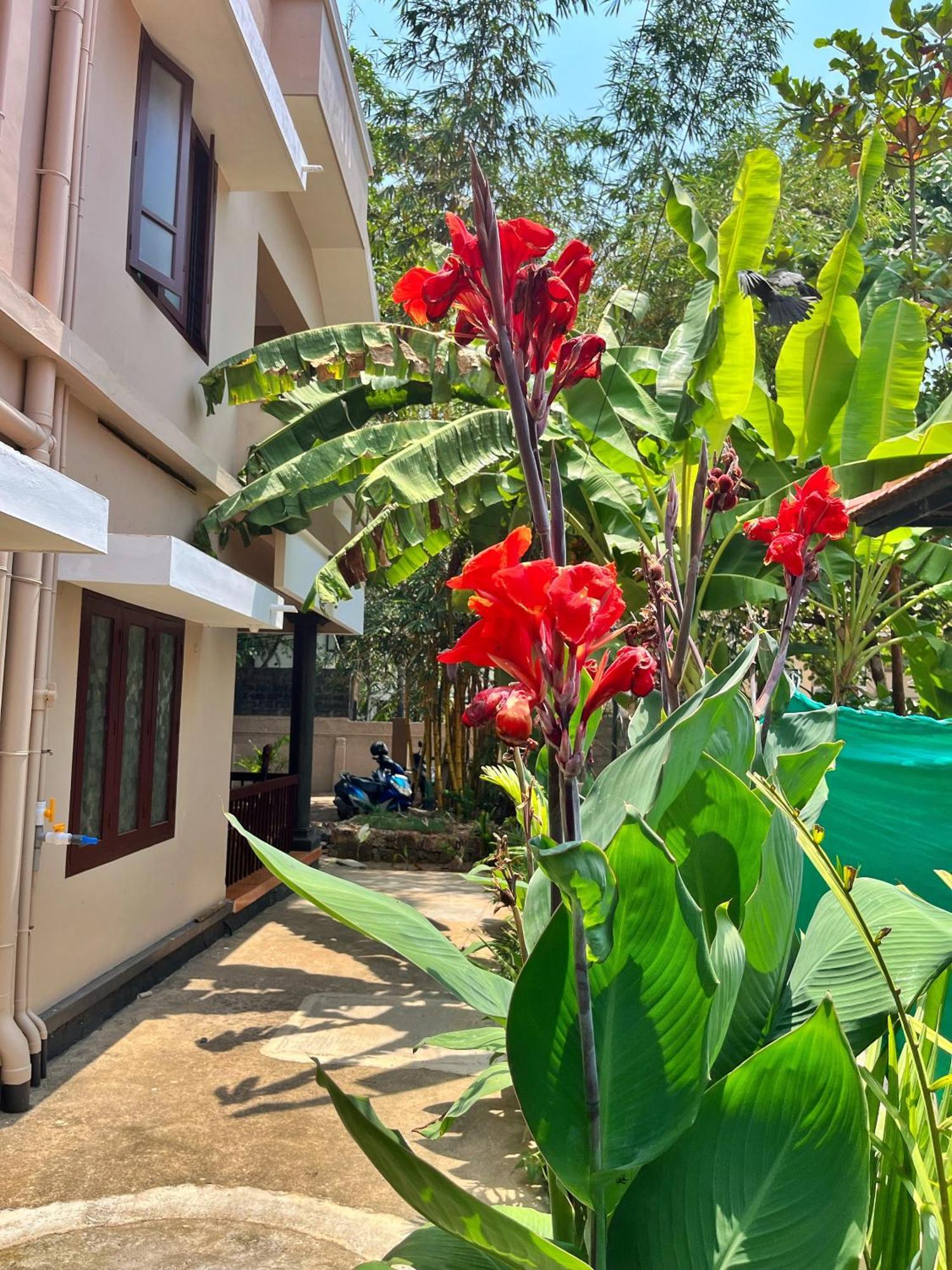 Bava Beach Resort & Retreat Center Varkala Εξωτερικό φωτογραφία